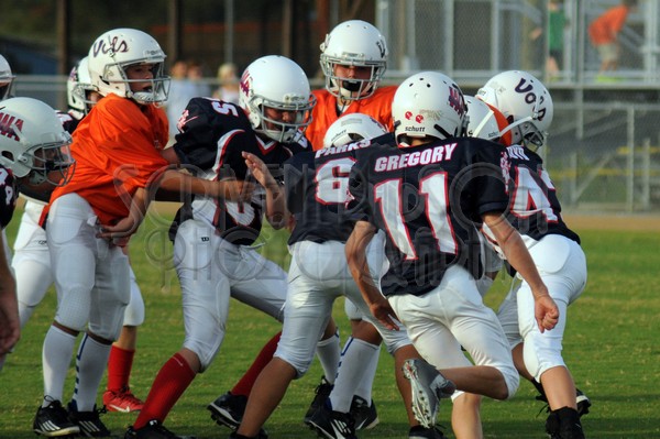 8-19 SAvsWA PW 073.jpg